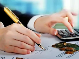 Chartered Accountant