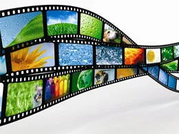 Film and Entertainment Companies