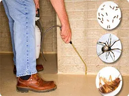 Pest Control Services
