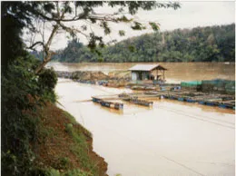 Temerloh Yellow Pages
